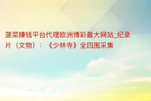 菠菜赚钱平台代理欧洲博彩最大网站_纪录片（文物）：《少林寺》全四围采集